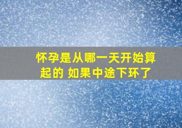 怀孕是从哪一天开始算起的 如果中途下环了